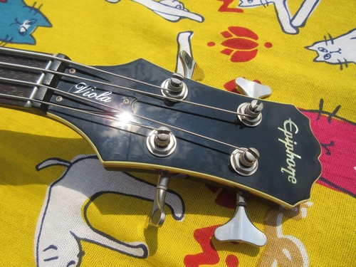 Epiphone viola bass copy - viola, maple
