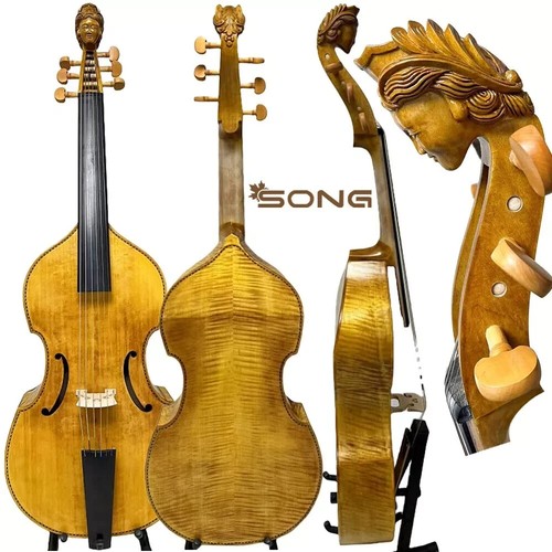Song queen neck string - song, viol